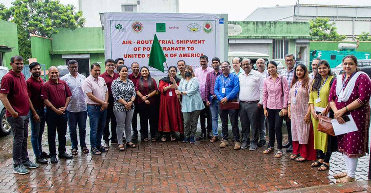 निर्यात बंदीनंतर डाळिंबाची पहिली खेप अमेरिकेसाठी रवाना
