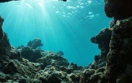 शास्त्रज्ञांना हिंदी महासागरात सापडला एक प्रचंड 'ग्रॅव्हिटी होल'