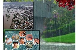 पावसाळ्यात अशी घ्या काळजी; प्रशासनाच्या सूचनांचे पालन करा