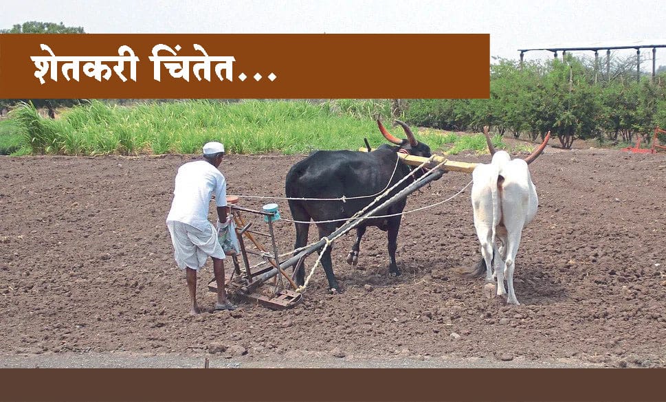 राज्यात 100 टक्के पेरण्या होणार का? कृषी आयुक्त म्हणाले…तर पेरणीच्या कामाला वेग