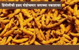 हिंगोलीची हळद जाणार सातासमुद्रापार