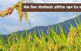 सांगली : शेतकऱ्यांनो! पीक विमा नोंदणीसाठी अतिरिक्त रक्कम देऊ नका