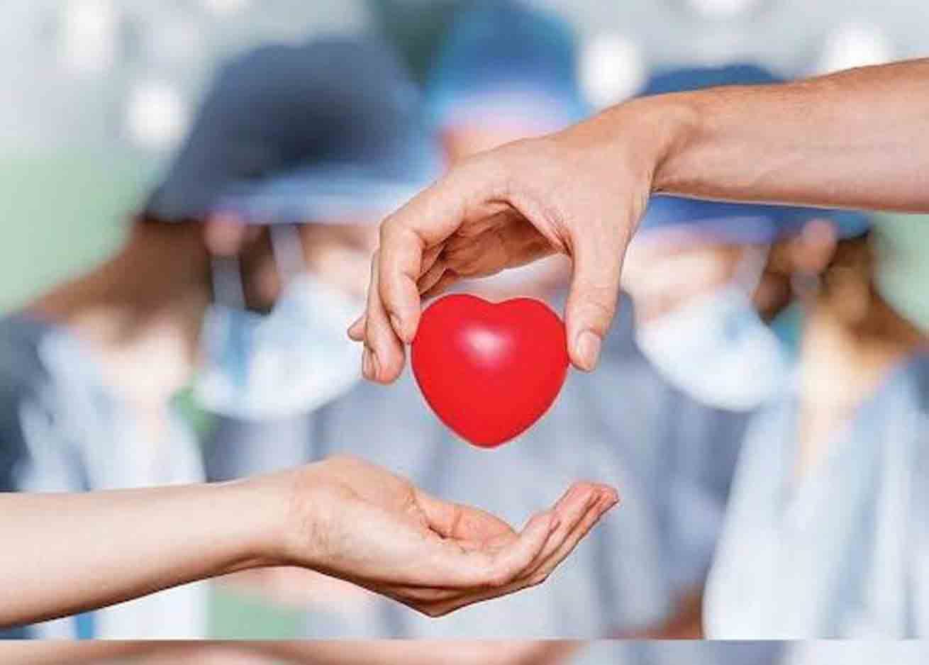 ठाणे येथे होणार राज्यातील पहिले ‘अवयवदान जनजागृती उद्यान’