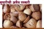 सुपारीची अवैध तस्करी करणाऱ्या टोळीचा महसूल गुप्तचर संचालयाने लावला छडा, 5 जणांना अटक