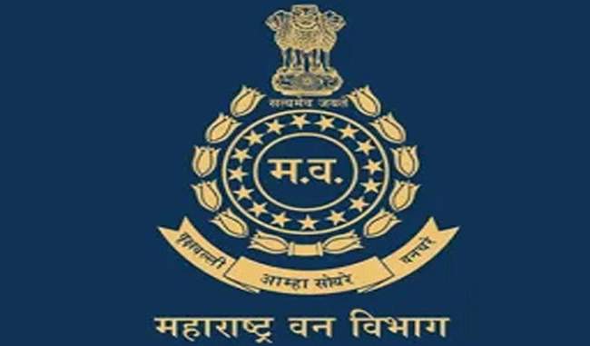 वन विभाग पदभरती : तरुणांनो तोतयांपासून सावध राहा