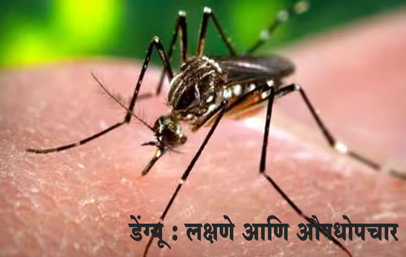 डेंग्‍यू : लक्षणे आणि औषधोपचार