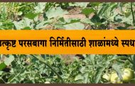 उत्कृष्ट परसबागा निर्मितीसाठी शाळांमध्ये स्पर्धा; शेती पिकवा अन् 10 हजार रुपये मिळवा