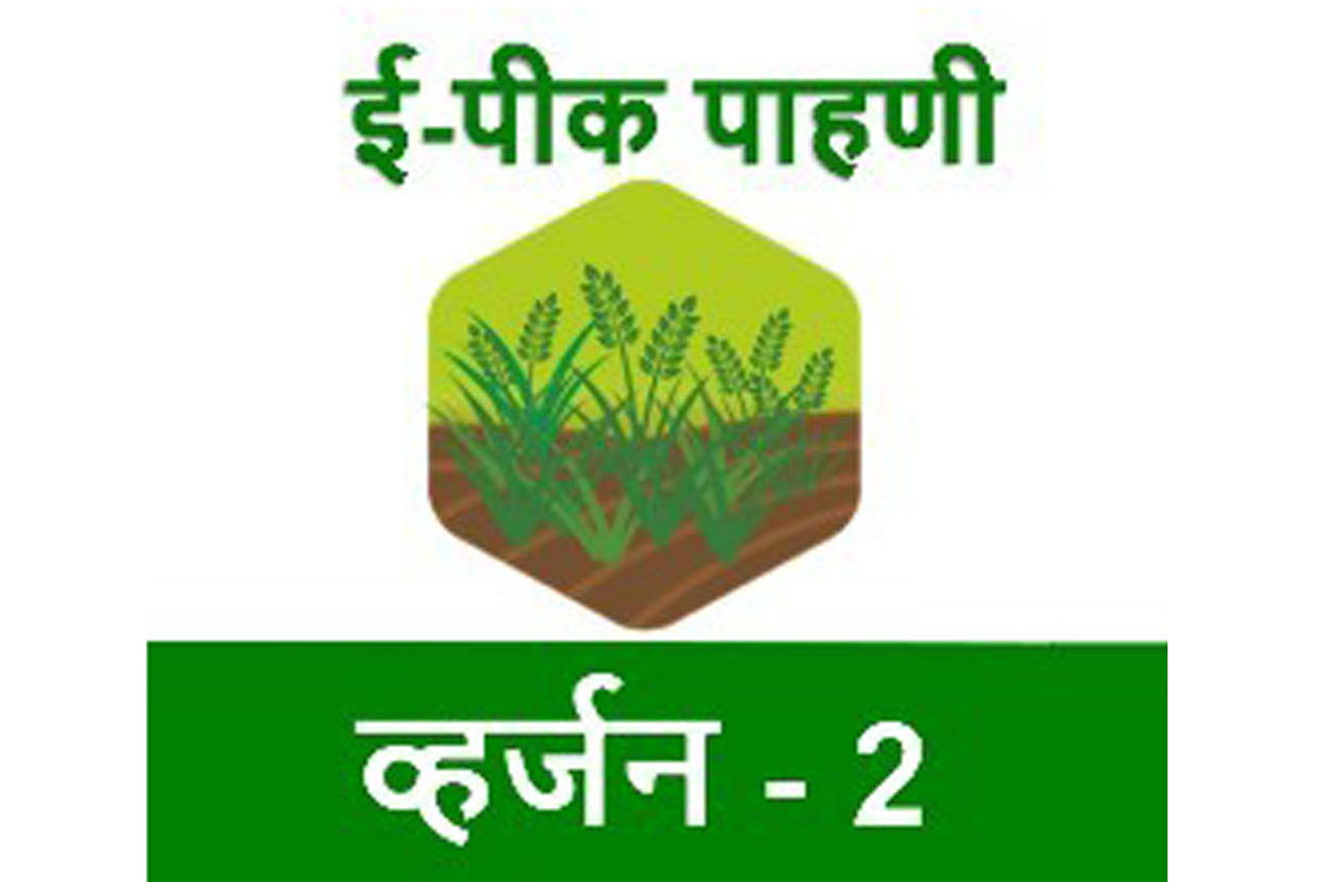 ई-पीक पाहणी नोंदणी करा 15 ऑक्टोबरपर्यंत...अन्यथा होऊ शकतात हे तोटे