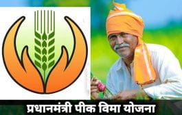 प्रधानमंत्री पीक विमा योजना : कृषी खात्याच्या छाननीत होत आहेत अपात्र अर्ज बाद