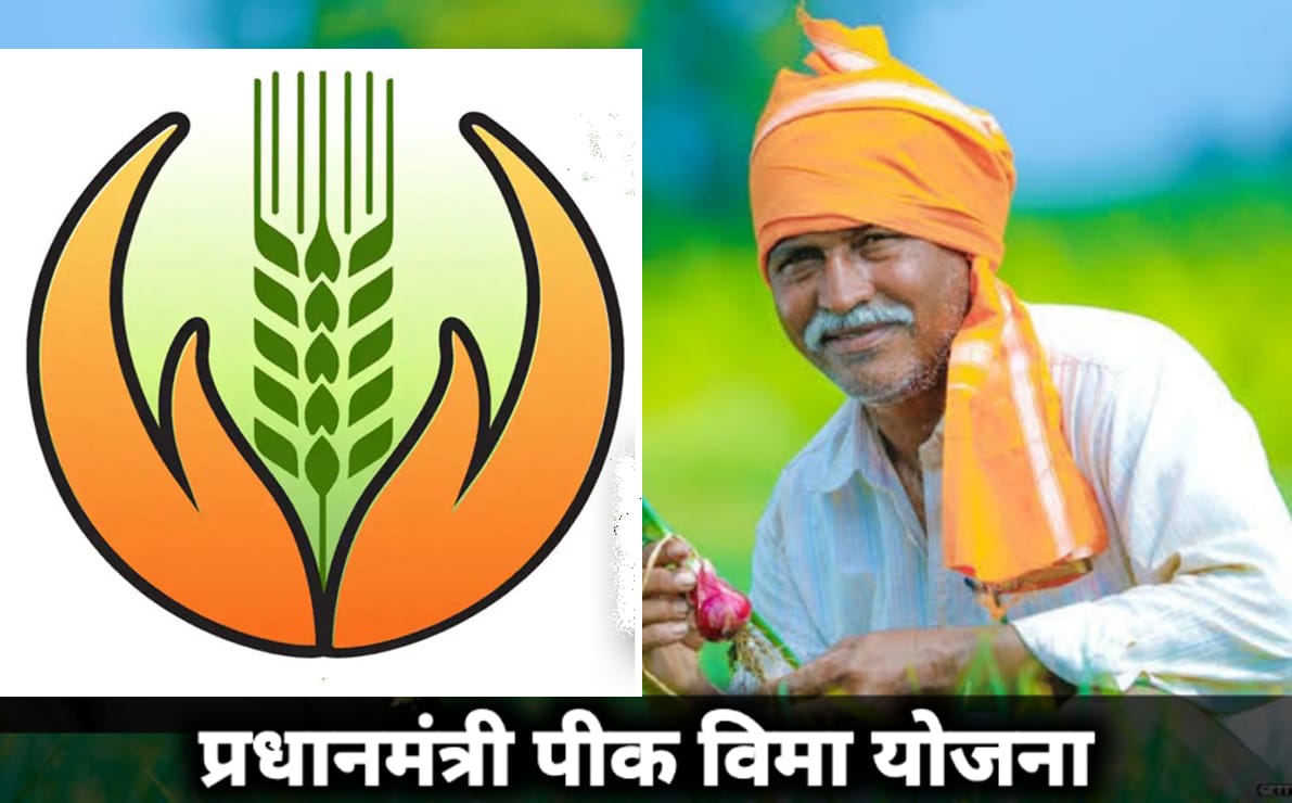 प्रधानमंत्री पीक विमा योजना : कृषी खात्याच्या छाननीत होत आहेत अपात्र अर्ज बाद