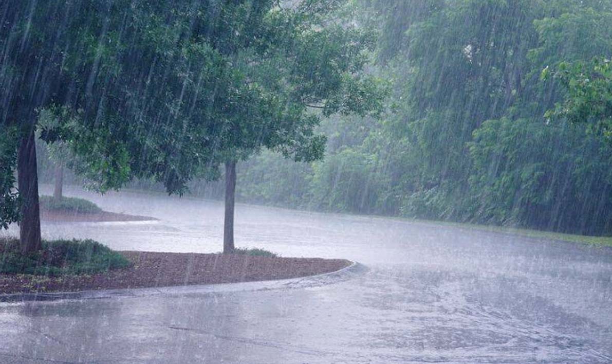 राज्यात आतापर्यंत सरासरीच्या 81 टक्के पाऊस