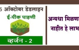 ई पीक पाहणीसाठी 15 ऑक्टोबरपर्यंतची डेडलाइन...अन्यथा मिळणार नाहीत हे लाभ