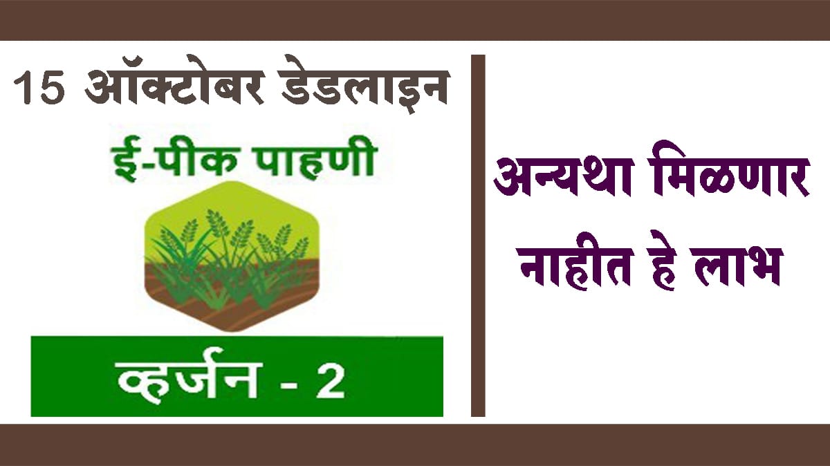 ई पीक पाहणीसाठी 15 ऑक्टोबरपर्यंतची डेडलाइन...अन्यथा मिळणार नाहीत हे लाभ