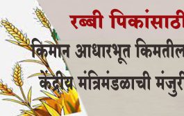 रब्बी पिकांसाठी किमान आधारभूत किमतीला केंद्रीय मंत्रिमंडळाची मंजुरी