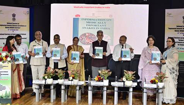 सर्पदंशामुळे होणारी विषबाधा हा चिंतेचा विषय...संसर्गजन्य रोगांपैकी 75 टक्के रोग हे प्राणीजन्य स्वरूपाचे