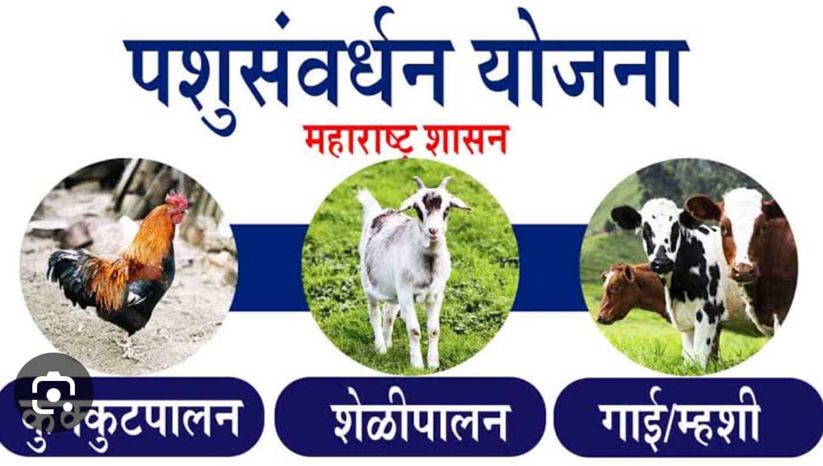 पशुसंवर्धन विभागाच्या विविध योजना...ऑनलाईन अर्ज करा