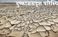 राज्यातील 1021 महसुली मंडळामध्ये दुष्काळसदृश परिस्थिती जाहीर...पहा महसुली मंडळाची यादी