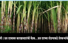 सांगली । ऊस दराबाबत आज कारखानदारांची बैठक...ऊस दराच्या तोडग्याकडे शेतकऱ्यांचे लक्ष