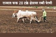 राज्यात फक्त 28 टक्के क्षेत्रावर रब्बी पेरणी