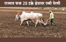राज्यात फक्त 28 टक्के क्षेत्रावर रब्बी पेरणी