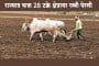 राज्यात फक्त 28 टक्के क्षेत्रावर रब्बी पेरणी