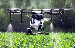 महिला बचत गटांना मिळणार शेतीसाठी ड्रोन; केंद्राची नवी योजना...मंत्रिमंडळाची मंजुरी