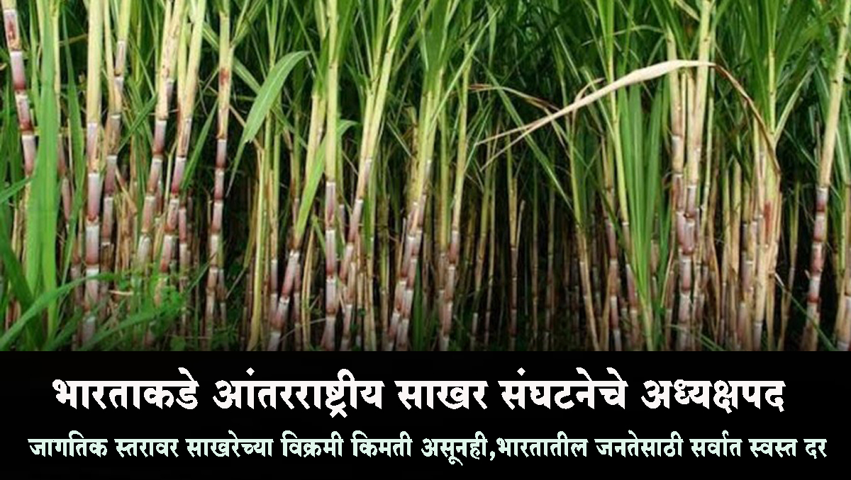 जगाच्या तुलनेत भारतामध्‍ये ऊस उत्पादक शेतकऱ्यांना सर्वाधिक उसाची किंमत