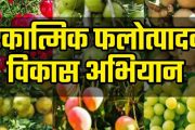 राज्याबाहेरील शेतीचा अभ्यास दौरा; शेतकऱ्यांनो, वेळेत अर्ज करा...
