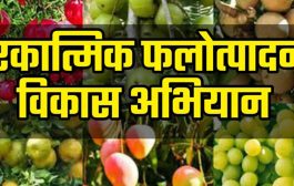 राज्याबाहेरील शेतीचा अभ्यास दौरा; शेतकऱ्यांनो, वेळेत अर्ज करा...