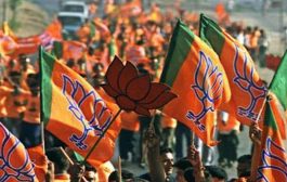 भाजपच्या दहा खासदारांनी दिला राजीनामा; दोन केंद्रीय मंत्र्यांचाही समावेश