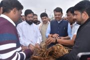 मुख्यमंत्री, उपमुख्यमंत्री थेट शेतकऱ्यांच्या बांधावर…