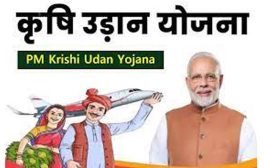 नाशिक, पुणे विमानतळांसह 58 विमानतळे कृषी उडान योजनेअंतर्गत समाविष्ट...हा होणार शेतकऱ्यांना फायदा