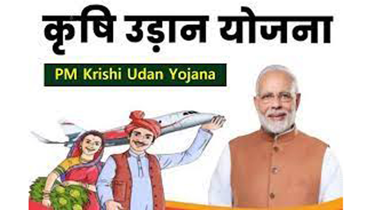 नाशिक, पुणे विमानतळांसह 58 विमानतळे कृषी उडान योजनेअंतर्गत समाविष्ट...हा होणार शेतकऱ्यांना फायदा