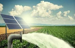 पीएम-कुसुम योजनेला 31 मार्च 2026 पर्यंत मुदतवाढ...34.8 गिगावॅट सौर ऊर्जा क्षमता वाढीचे लक्ष्य