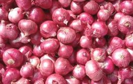 देशातील 114 शहरांमध्ये 1 हजार 155 मोबाइल व्हॅनद्वारे 25 रुपये प्रति किलोने कांदा विक्री सुरू