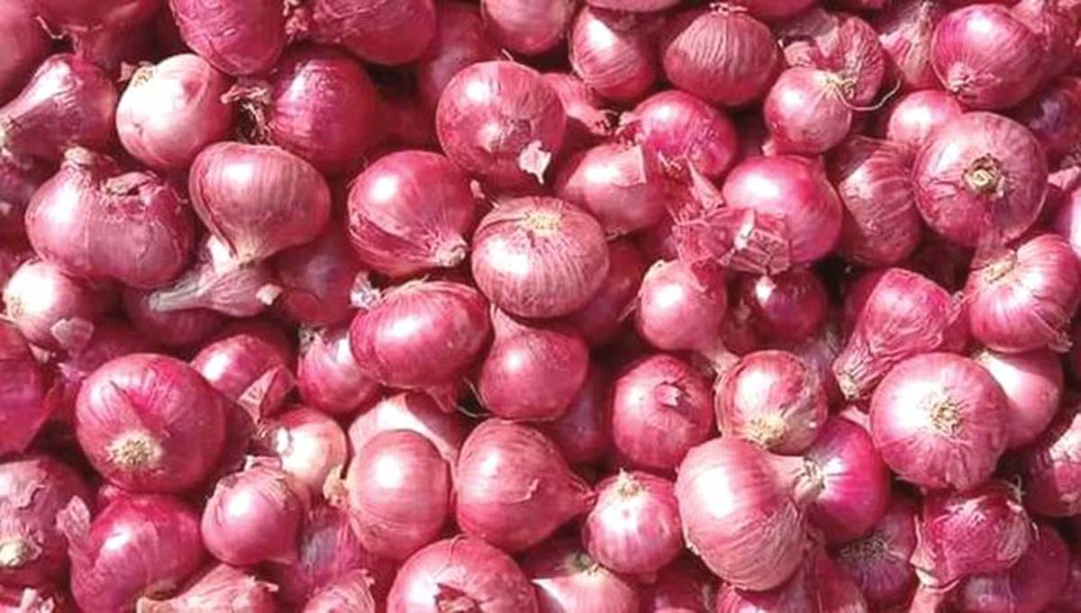 देशातील 114 शहरांमध्ये 1 हजार 155 मोबाइल व्हॅनद्वारे 25 रुपये प्रति किलोने कांदा विक्री सुरू
