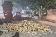 कारखान्याकडे निघालेला ऊस रस्त्यावर... 'स्वाभिमानी'ची मदत