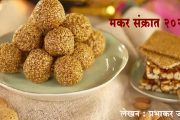 Makar Sankranti 2024 : मकर संक्रात - वैज्ञानिक दृष्टिकोन