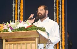 राज्यात १० हजार हेक्टर क्षेत्रावर होणार बांबूची लागवड