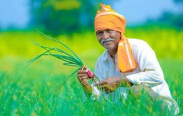 शेतकऱ्यांच्या कल्याणासाठी केंद्र सरकारने राबवल्या अनेकविध उपाययोजना