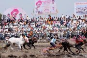 रायफल्या ८१८१ - शंभूनं मैदान मारलं; जयंत केसरी बैलगाडी शर्यतीत ठरले वन बीएचके फ्लॅटचे मानकरी