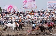 रायफल्या ८१८१ - शंभूनं मैदान मारलं; जयंत केसरी बैलगाडी शर्यतीत ठरले वन बीएचके फ्लॅटचे मानकरी