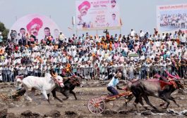 रायफल्या ८१८१ - शंभूनं मैदान मारलं; जयंत केसरी बैलगाडी शर्यतीत ठरले वन बीएचके फ्लॅटचे मानकरी