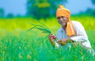 पीएम किसान योजनेअंतर्गत शेतकऱ्यांच्या खात्यात 3 लाख कोटी रुपये, 11 कोटी शेतकऱ्यांना लाभ