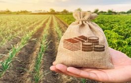 चालू वर्षात या जिल्ह्याच्या इतिहासातील सर्वाधिक पीक कर्जवाटप