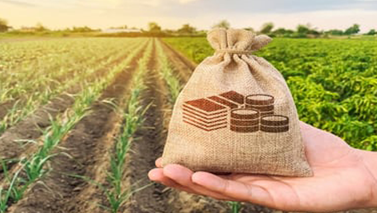 चालू वर्षात या जिल्ह्याच्या इतिहासातील सर्वाधिक पीक कर्जवाटप