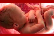 राज्यातील स्त्री भ्रूण हत्या रोखण्यासाठी आणि तक्रार नोंदविण्यासाठी आता १०४ टोल फ्री हेल्पलाईन