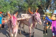 'हॅप्पी स्ट्रीट' उपक्रमामध्ये बालकांबरोबर पालकही सहभागी...मिकी माऊस, बैलगाडी, घोडेस्वारीची सफर आणि...