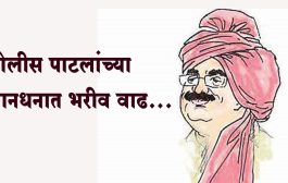 पोलीस पाटलांच्या मानधनात भरीव वाढ...आता मिळणार महिन्याला १५ हजार रुपये