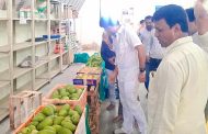 Islampur Mango Festival : इस्लामपूर येथे आंबा महोत्सवाला सुरवात